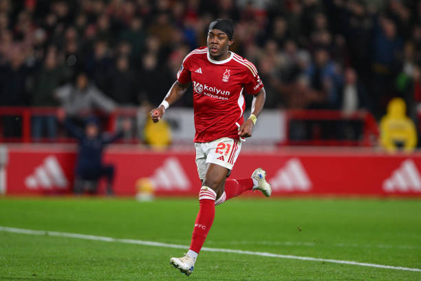 小萨博尼斯 小萨博尼斯